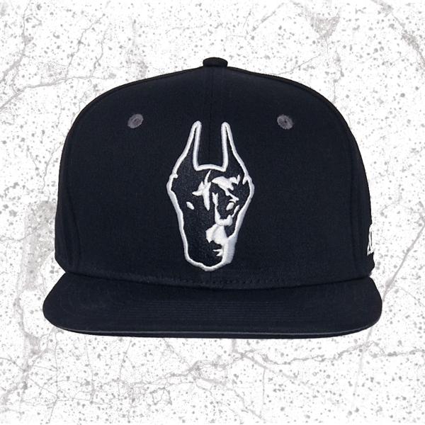 afys snapback
